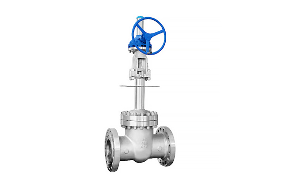 A cryogenic globe valve