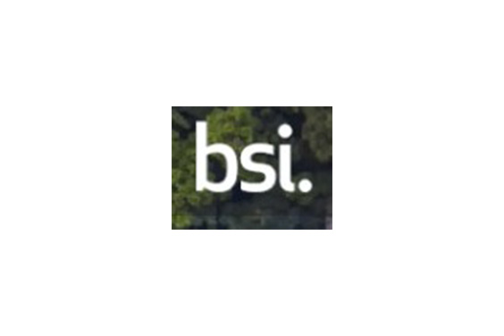 British Standards Institution logo