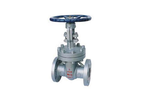 Cast steel valve