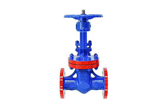 Dombor Gate Valve