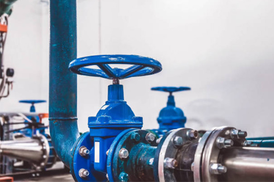 Globe Valve