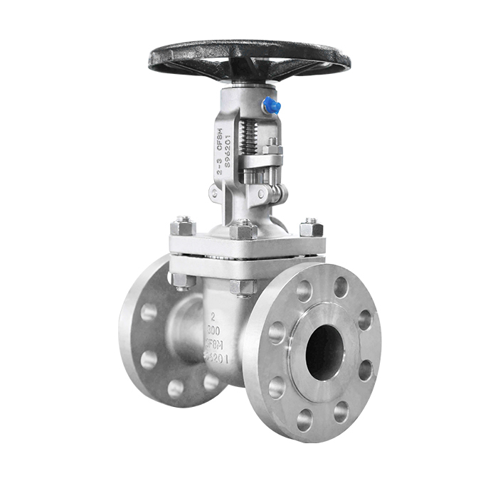 stainless steel gate valve 02