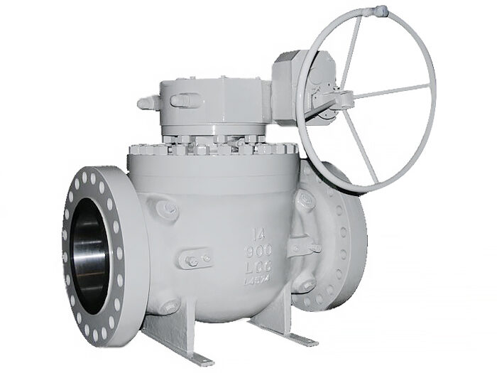 top entry ball valve 04